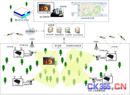 传感器网络建设与开发，助力智慧林业取得重要进展