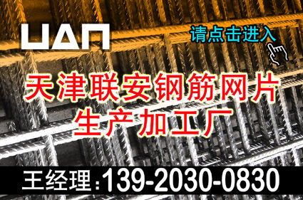 天津钢筋网片厂家产品 以高效赋能，加速工程建设与网络开发新篇章