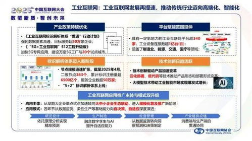 中国互联网发展报告2025 网络建设与开发的新征程