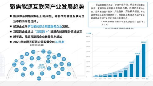2024国家能源互联网发展年度报告在京发布，网络建设与开发成果深度解读